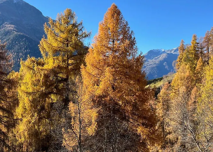 Apartment Chasa Ernst By Interhome *