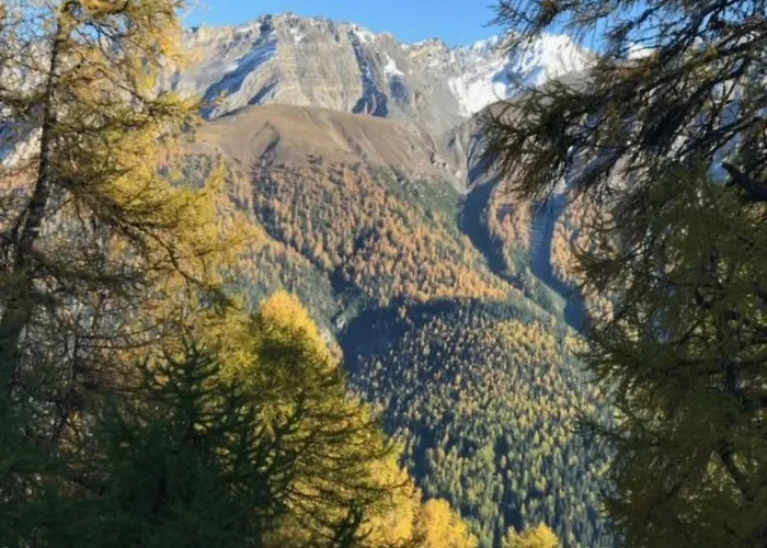 Appartement Chasa Ernst By Interhome Zernez